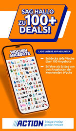 Action Prospekt woche 33 Seite 34