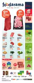 Foodarama weekly ad week 33 Page 1: Fiора essentials bath tissue €10,00, Community coffee k-cup €6,99