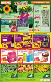 Catalogue Norma semaine 34 page 4: Graminées ornementales €2,49, Melons Charentais €1,19