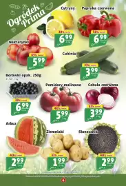 Prim Market gazetka tydzień 33 Strona 6: Borówki €6,99, Cebula czerwona €3,99