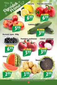 Prim Market gazetka tydzień 33 Strona 6: Borówki €6,99, Cebula czerwona €3,99