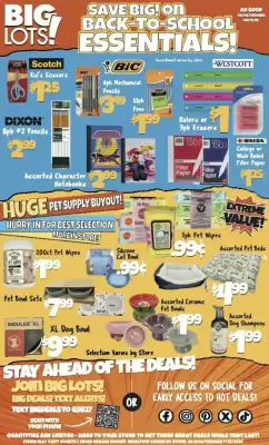 Big Lots (valid until 12-08)