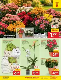 Netto Marken-Discount Prospekt woche 34 Seite 11