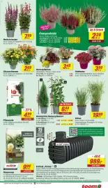 Toom Baumarkt Prospekt woche 33 Seite 3
