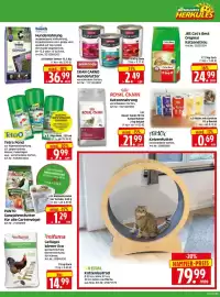 Herkules Baumarkt Prospekt woche 33 Seite 11