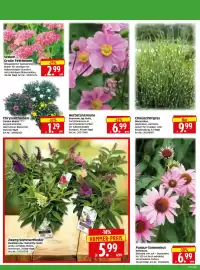 Herkules Baumarkt Prospekt woche 33 Seite 2