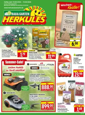 Herkules Baumarkt Prospekt (gültig bis 15-08)