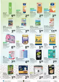 CITTI Markt Prospekt woche 33 Seite 17