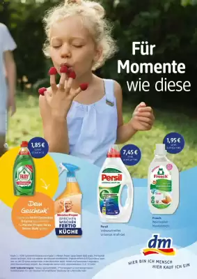 dm drogerie (gültig bis 6-09)