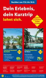 Lidl Reisen Prospekt Seite 2