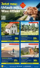 Lidl Reisen Prospekt Seite 24