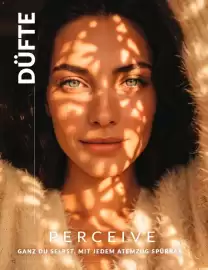 Avon Prospekt Seite 68