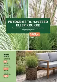 Plantorama tilbudsavis Side 5: PRYDGRÆS TIL HAVEBED ELLER KRUKKE €149,00, NORA KURV €99,00