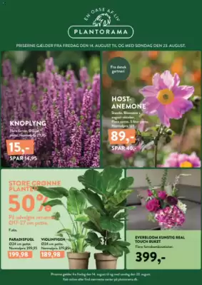 Plantorama (gælder indtil 23-08)