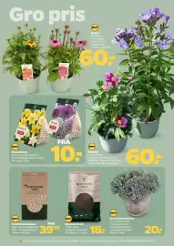 Netto tilbudsavis uge 33 Side 22: Solhat €60,00, Blomsterløg €10,00
