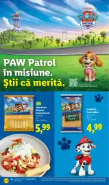 Catalog Lidl săptămâna 34 Pagină 44: SNACK DAY Bețișoare de porumb, bio €5,99