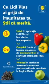 Catalog Lidl săptămâna 34 Pagină 63