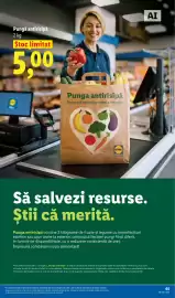 Catalog Lidl săptămâna 34 Pagină 65