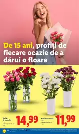 Catalog Lidl săptămâna 34 Pagină 66