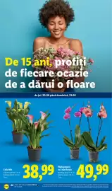 Catalog Lidl săptămâna 34 Pagină 68