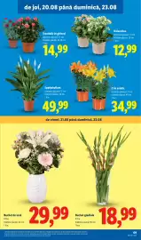 Catalog Lidl săptămâna 34 Pagină 69