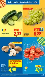 Catalog Lidl săptămâna 34 Pagină 71: Castraveți cornișon €2,99