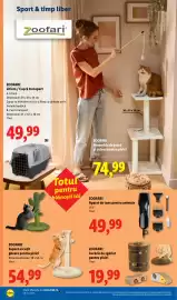 Catalog Lidl săptămâna 34 Pagină 88: ZOOFARI Aparat de tuns pentru animale €49,99