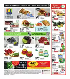 Pavilions weekly ad week 33 Page 4