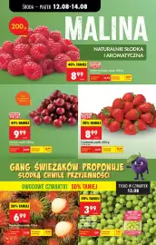 Biedronka gazetka tydzień 33 Strona 28
