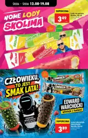 Biedronka gazetka tydzień 33 Strona 42