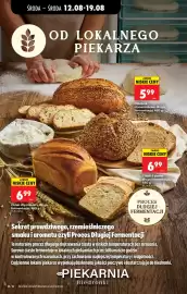 Biedronka gazetka tydzień 33 Strona 48