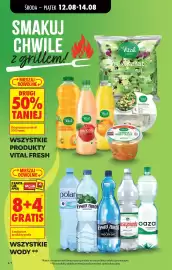 Biedronka gazetka tydzień 33 Strona 6