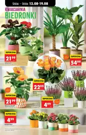 Biedronka gazetka tydzień 33 Strona 79