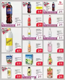 Selgros gazetka Strona 25