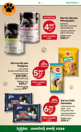 Żabka gazetka Strona 88