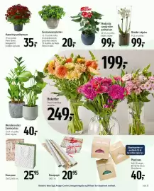 Føtex tilbudsavis Side 55: Pearl wax €40,00, Medinilla candy eller anthurium €99,00