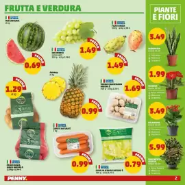 Volantino PENNY Pagina 2: Kalanche €3,49, Gerbera €1,99