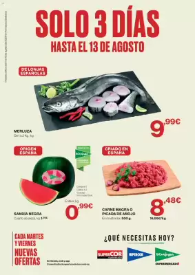 Hipercor (válido hasta el 13-08)
