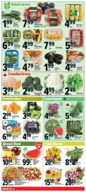 Metro flyer week 33 Page 4