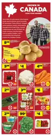 Real Canadian Superstore flyer week 33 Page 10