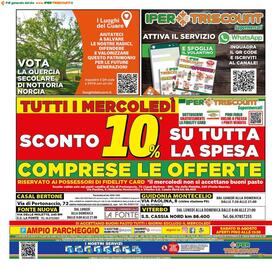 Volantino Iper Triscount Pagina 20