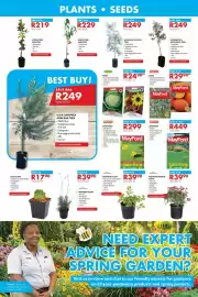 Chamberlain catalogue Page 6: Heteropyxis natalensis tree €249,00, PEACH TREE €229,00