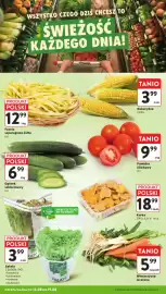 Intermarche gazetka tydzień 33 Strona 18: Pomidor śliwkowy €9,99, Kurka polska €18,99