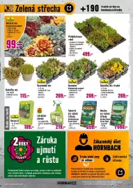 Hornbach leták Strana 3: Garden Boom Green Roof €259,00, Compo likvidátor plevelu €219,00