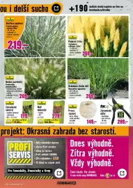 Hornbach leták Strana 5: FloraSelf Dochán psárkovitý €269,00, FloraSelf Kostřava popelavá €219,00