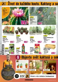 Hornbach leták Strana 6: FloraSelf hnojivo pro kaktusy €89,00, Kaktus o teak €459,00
