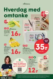 SPAR tilbudsavis uge 33 Side 11: Grøn Balance Økologiske Is / Isvafler / Ispinde €35,00