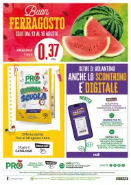 Volantino PRO7 Supermercati Pagina 27: Anguria intera €0,37