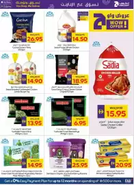 Megamart catalogue Page 13