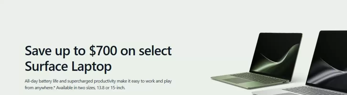 Microsoft flyer (valid until 2-09)